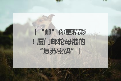 “邮”你更精彩！厦门邮轮母港的“复苏密码”