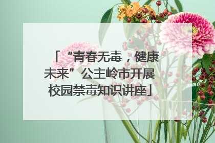 “青春无毒，健康未来”公主岭市开展校园禁毒知识讲座