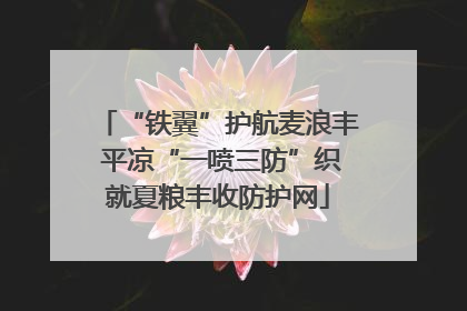 “铁翼”护航麦浪丰 平凉“一喷三防”织就夏粮丰收防护网