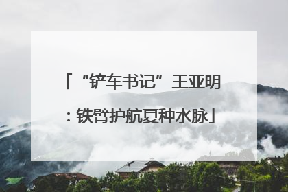 “铲车书记”王亚明：铁臂护航夏种水脉