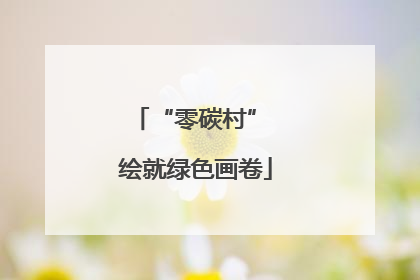 “零碳村” 绘就绿色画卷