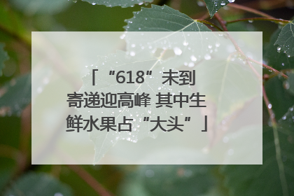 “618”未到 寄递迎高峰 其中生鲜水果占“大头”