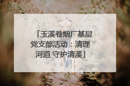 玉溪卷烟厂基层党支部活动：清理河道 守护清溪