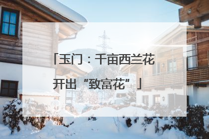 玉门：千亩西兰花开出“致富花”