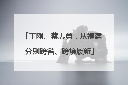 王刚、蔡志勇，从福建分别跨省、跨境履新