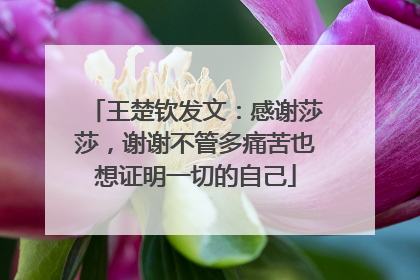 王楚钦发文：感谢莎莎，谢谢不管多痛苦也想证明一切的自己