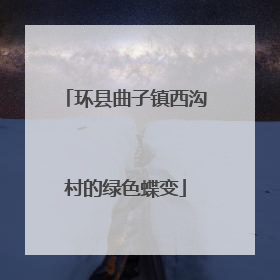 环县曲子镇西沟村的绿色蝶变