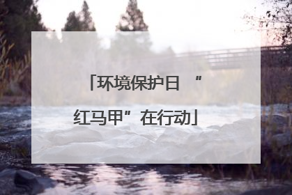 环境保护日 “红马甲”在行动