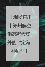 现场直击丨郑州航空港高考考场外的“定海神针”
