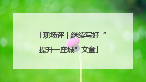 现场评｜继续写好“提升一座城”文章