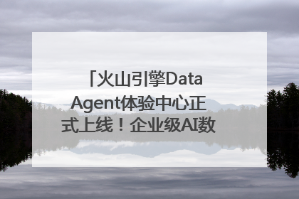 火山引擎Data Agent体验中心正式上线！企业级AI数据专家触手可及