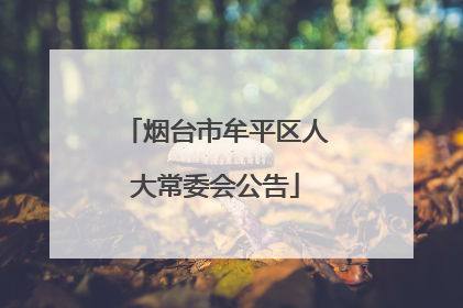 烟台市牟平区人大常委会公告