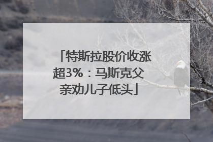 特斯拉股价收涨超3%：马斯克父亲劝儿子低头