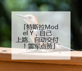特斯拉Model Y，自己上路、自动交付！雷军点赞