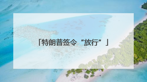 特朗普签令“放行”
