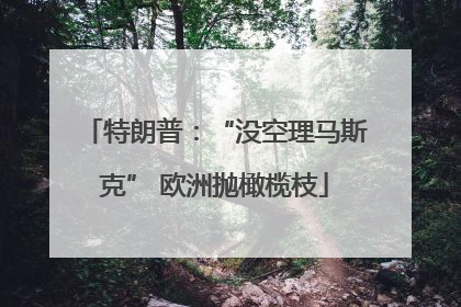 特朗普：“没空理马斯克” 欧洲抛橄榄枝