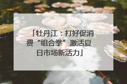 牡丹江：打好促消费“组合拳”激活夏日市场新活力
