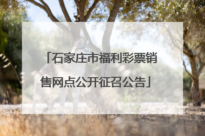 石家庄市福利彩票销售网点公开征召公告