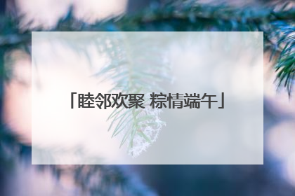睦邻欢聚 粽情端午