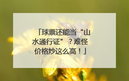 球票还能当“山水通行证”？难怪价格炒这么高！