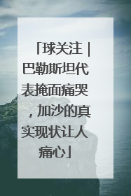 球关注｜巴勒斯坦代表掩面痛哭，加沙的真实现状让人痛心
