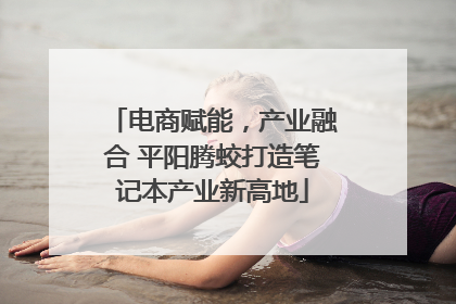 电商赋能，产业融合 平阳腾蛟打造笔记本产业新高地