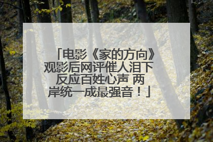 电影《家的方向》观影后网评催人泪下 反应百姓心声 两岸统一成最强音！
