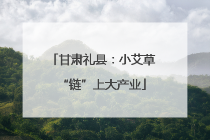 甘肃礼县：小艾草“链”上大产业