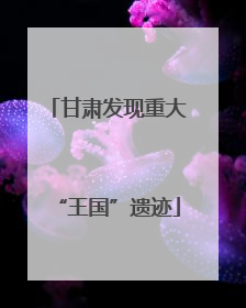 甘肃发现重大“王国”遗迹
