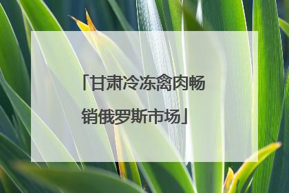 甘肃冷冻禽肉畅销俄罗斯市场