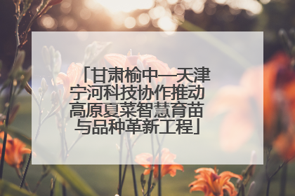 甘肃榆中—天津宁河科技协作推动高原夏菜智慧育苗与品种革新工程