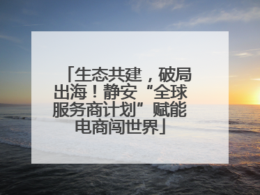 生态共建，破局出海！静安“全球服务商计划”赋能电商闯世界
