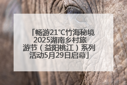 畅游21℃竹海秘境 2025湖南乡村旅游节（益阳桃江）系列活动5月29日启幕
