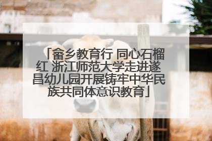 畲乡教育行 同心石榴红 浙江师范大学走进遂昌幼儿园开展铸牢中华民族共同体意识教育