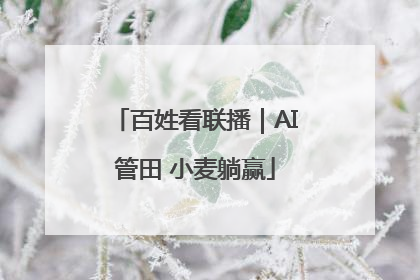 百姓看联播｜AI管田 小麦躺赢