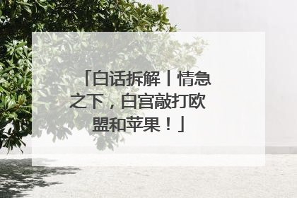 白话拆解丨情急之下，白宫敲打欧盟和苹果！