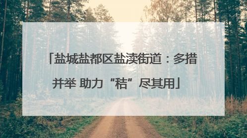 盐城盐都区盐渎街道：多措并举 助力“秸”尽其用