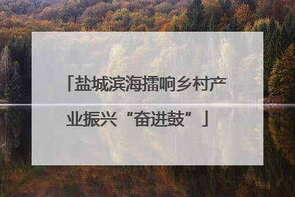 盐城滨海擂响乡村产业振兴“奋进鼓”