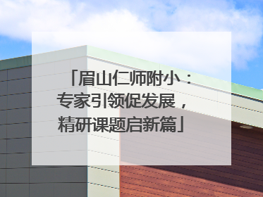 眉山仁师附小：专家引领促发展，精研课题启新篇