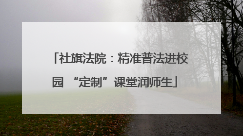 社旗法院：精准普法进校园 “定制”课堂润师生