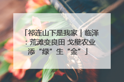 祁连山下是我家｜临泽：荒滩变良田 戈壁农业添“绿”生“金”