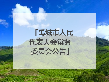 禹城市人民代表大会常务委员会公告