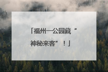 福州一公园藏“神秘来客”！