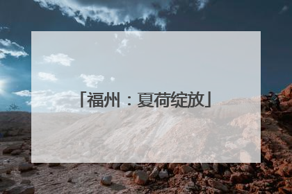 福州：夏荷绽放