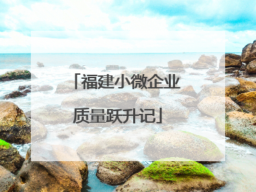 福建小微企业质量跃升记