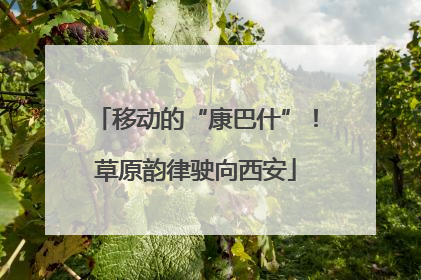 移动的“康巴什”！草原韵律驶向西安