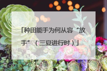 种田能手为何从容“放手”（三夏进行时）