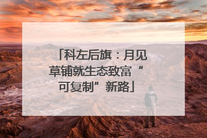 科左后旗：月见草铺就生态致富“可复制”新路