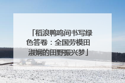 稻浪鸭鸣间书写绿色答卷：全国劳模田淑娴的田野振兴梦