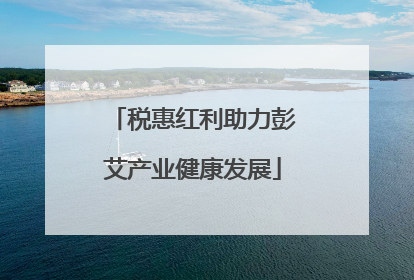 税惠红利助力彭艾产业健康发展